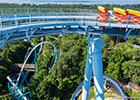 Griffon roller coaster