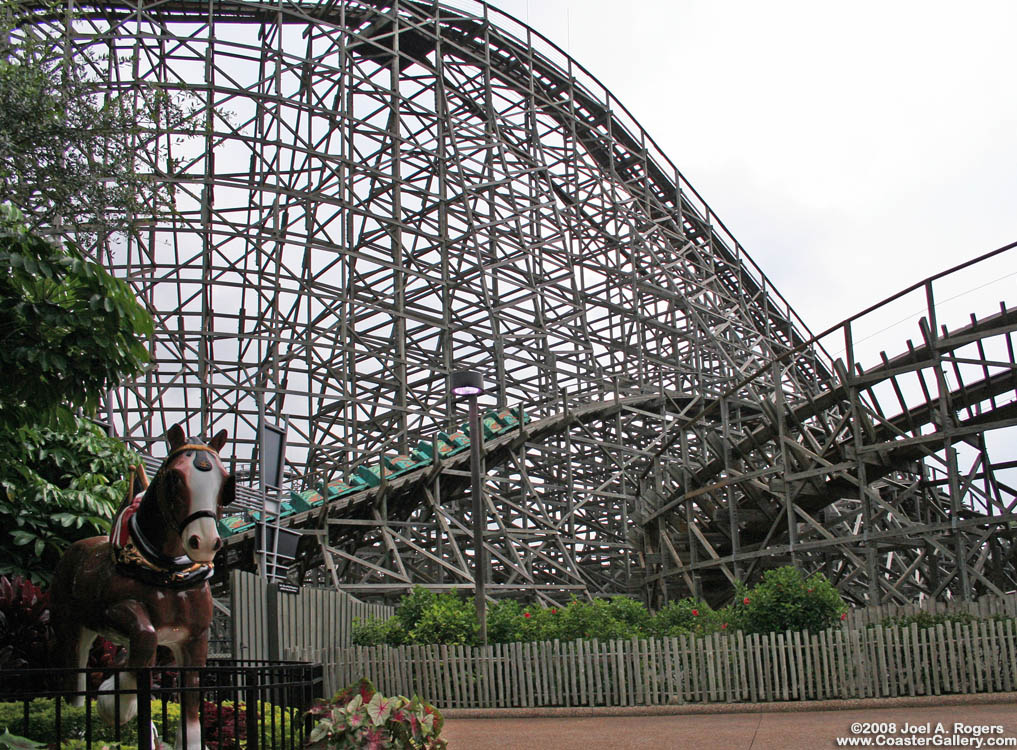 Gwazi Coaster