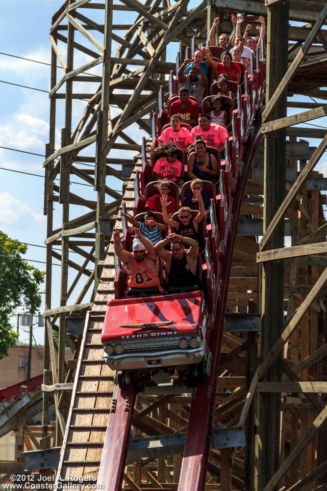 Longhorns on a roller coaster car