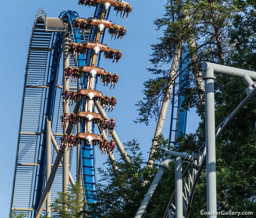 Wild Eagle roller coaster