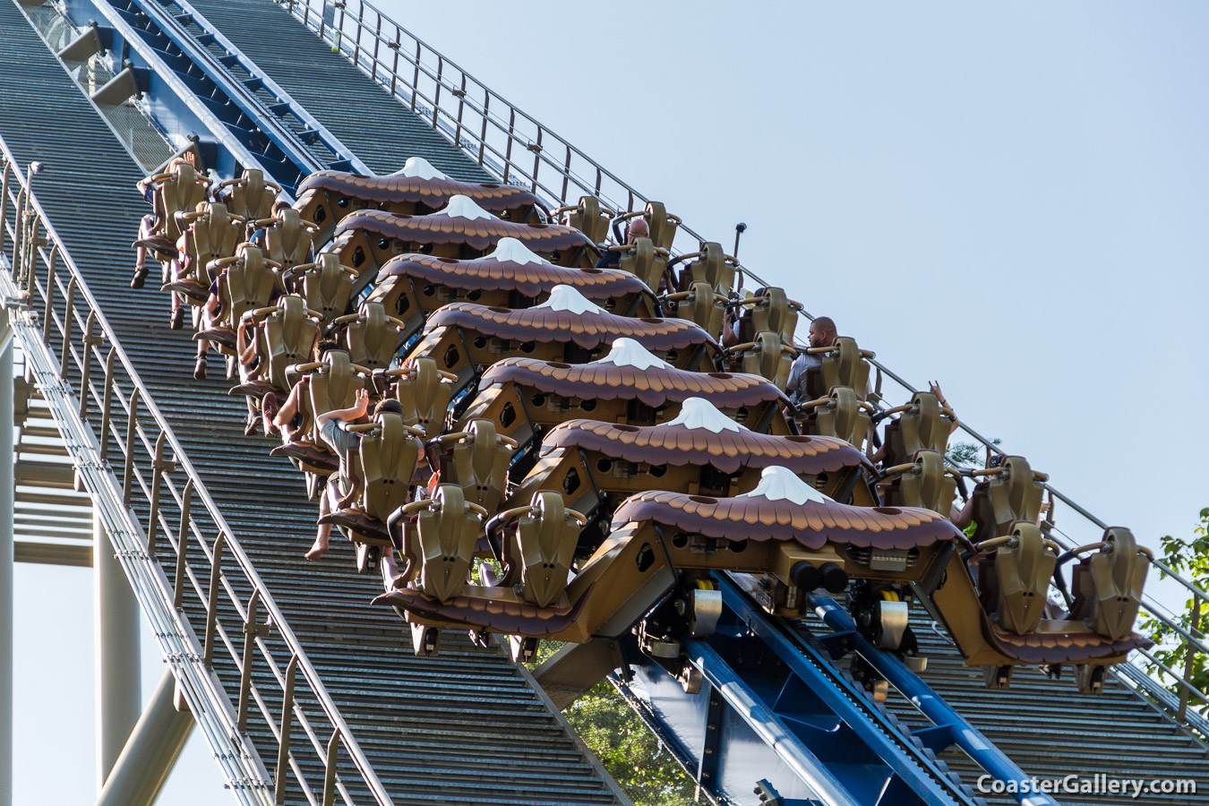 Bald Eagle on a roller coaster train