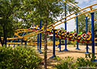 Ant Farm Express by Vekoma