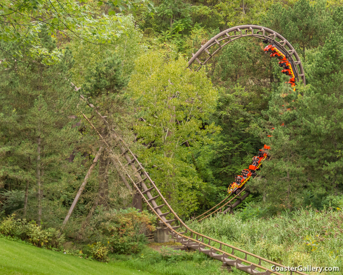 Bowtie and Batwing Loops on Arrow Dynamics roller coasters