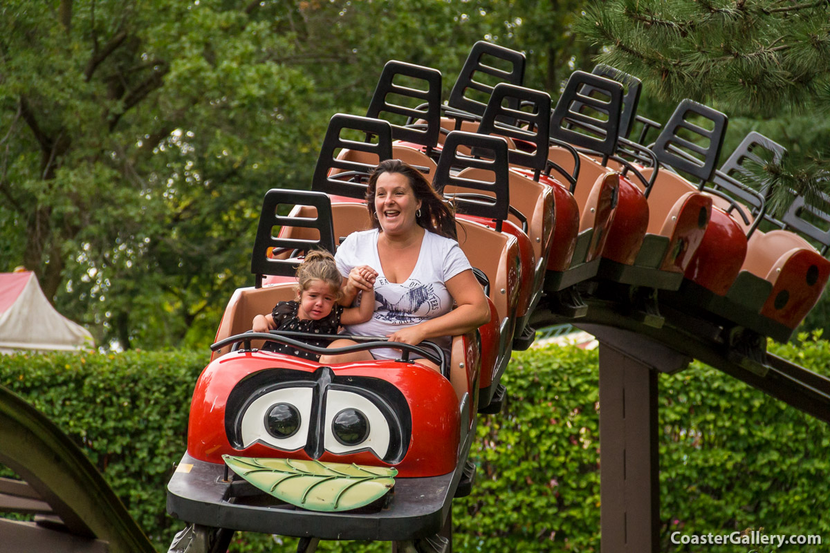 Lady Bug Coaster