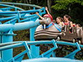 click to enlarge New Hampshire coaster image