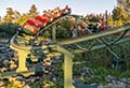 Darien Lake roller coaster pictures and news