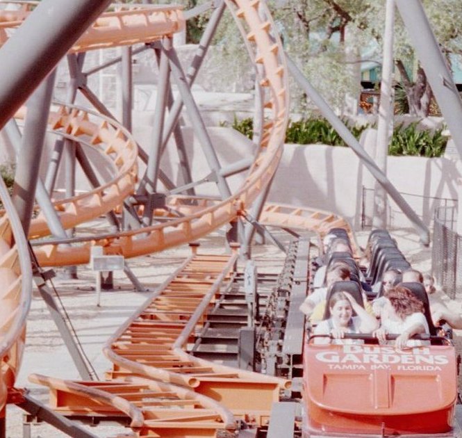 Scorpion roller coaster in Tampa, Florida
