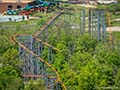 Suspended roller coasters