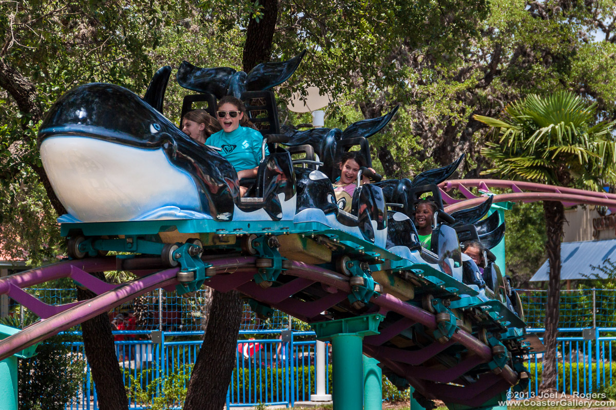 Shamu Express roller coaster