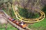 Mine Train roller coaster