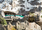 Matterhorn Bobsleds roller coaster