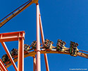 Tatsu Flying Coaster