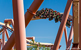 Tatsu Flying Coaster