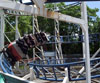 click to enlarge coaster picture