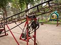 Kiddie roller coaster in a park