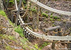 Roller coaster photography