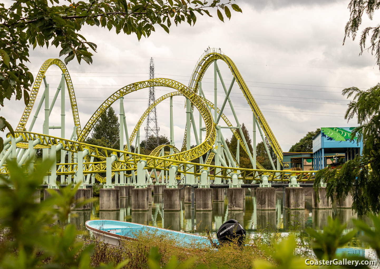 Kingfisher - Kawasemi at the Tobu Zoo in Saitama, Japan. The roller coaster named after kingfisher birds.