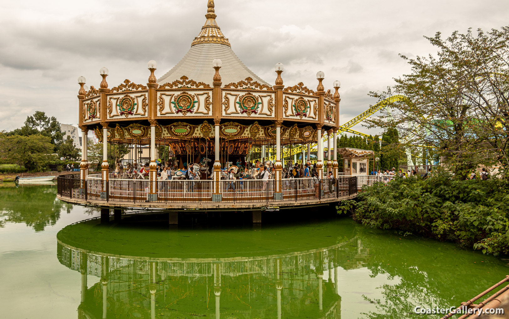 Carousel Water Lily (Merry-Go-Round) - カルーセルウォーターリリー（メリーゴーランド）