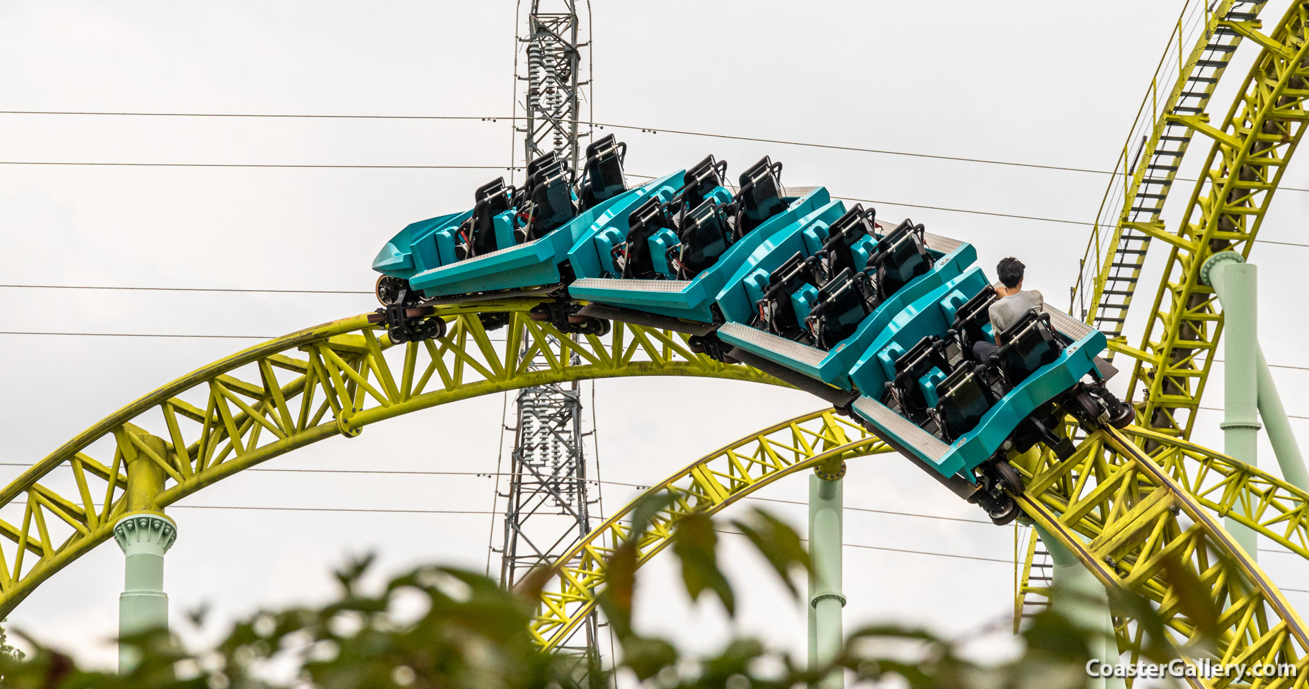 Kawasemi roller coaster at the Tobu Zoo in Japan