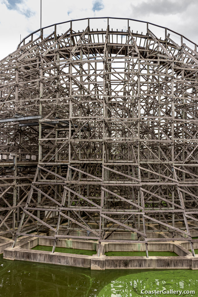 Regina roller coaster at the Tobu Zoo in Japan