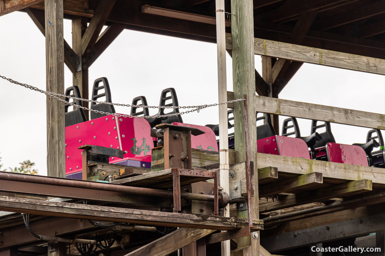 Regina roller coaster at the Tobu Zoo in Japan