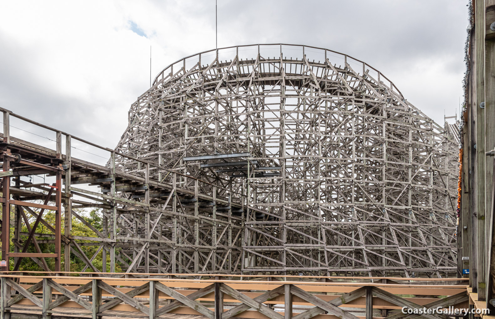 Regina roller coaster at the Tobu Zoo in Japan