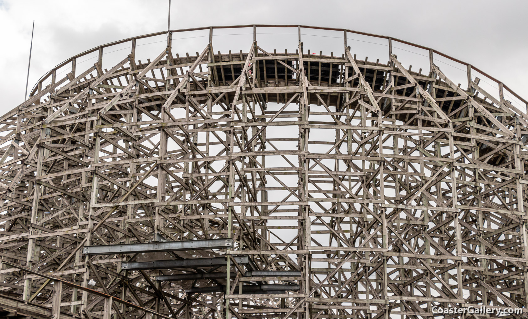 Regina roller coaster at the Tobu Zoo in Japan