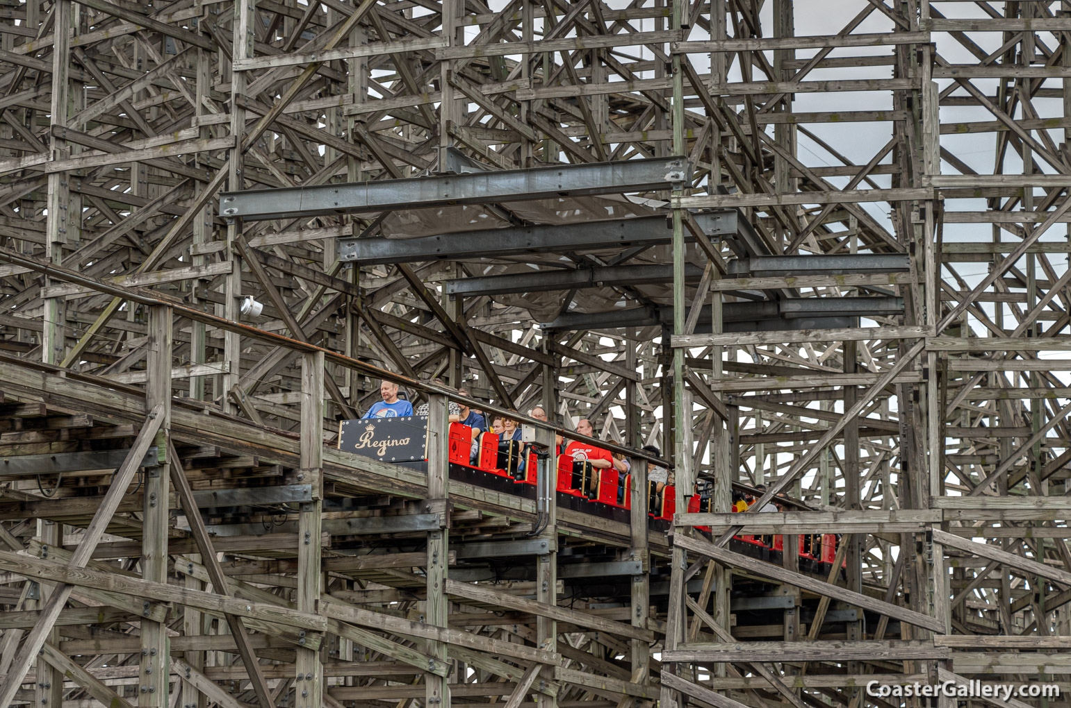 Regina roller coaster at the Tobu Zoo in Japan