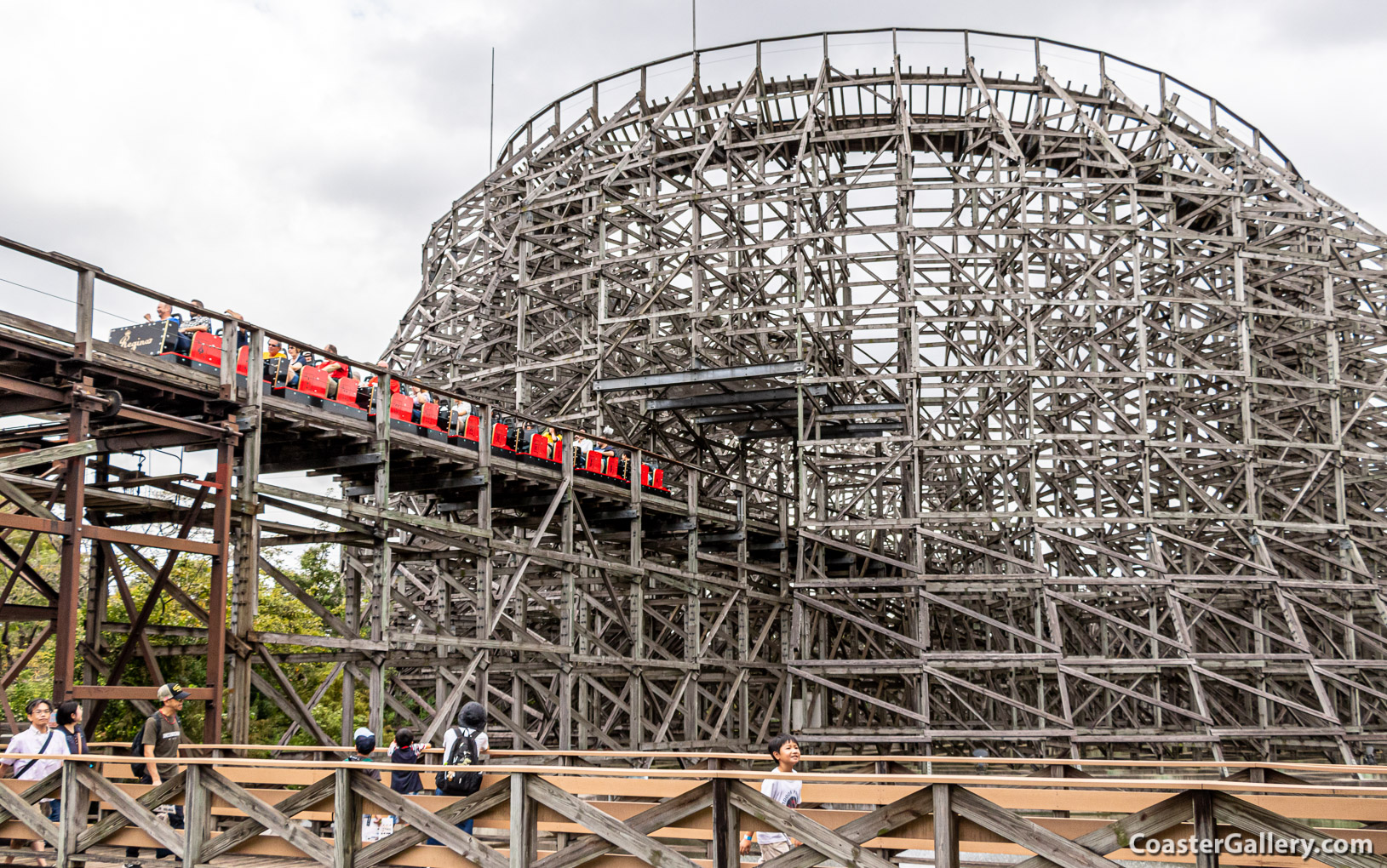 Regina roller coaster at the Tobu Zoo in Japan