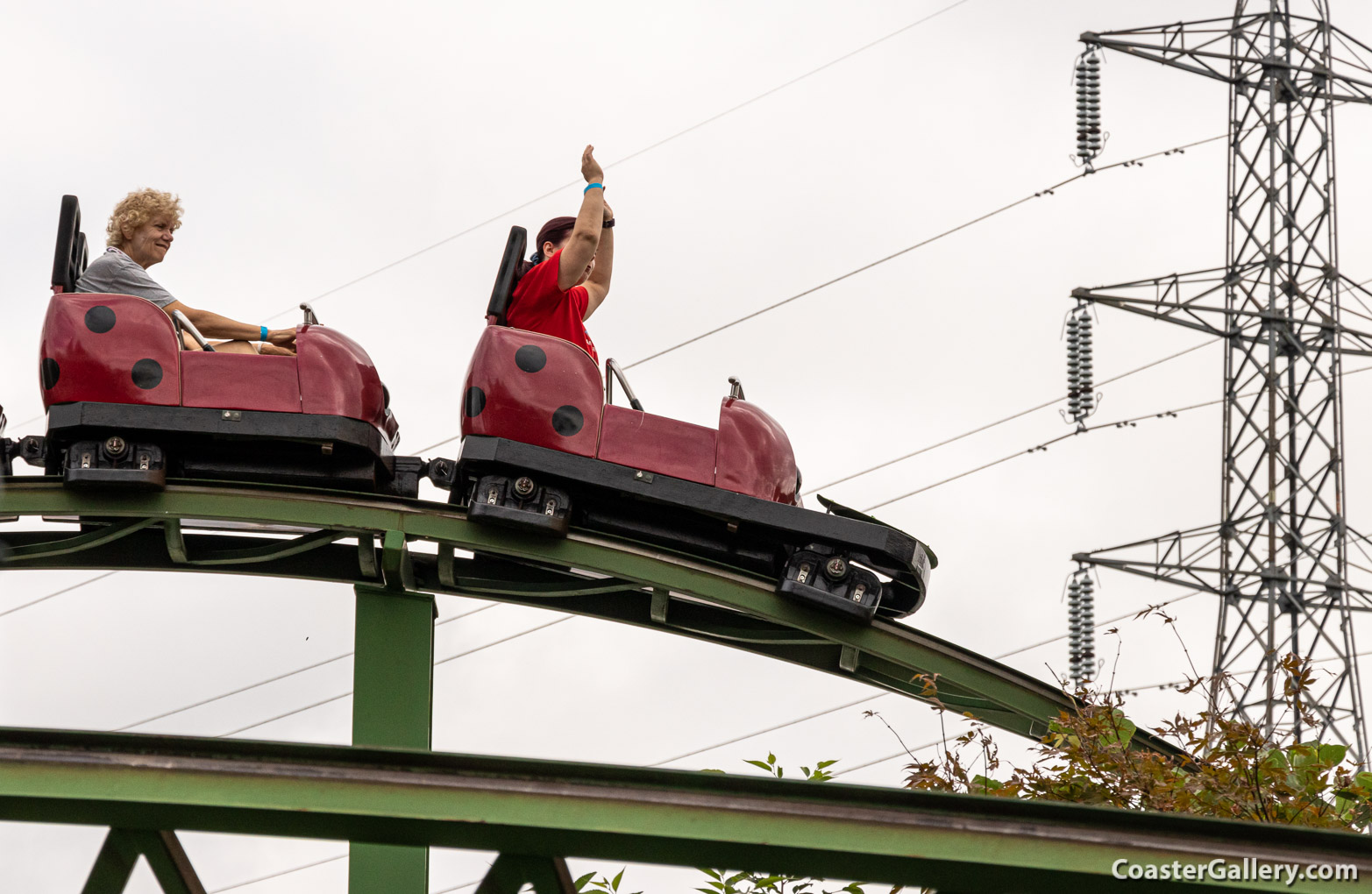 Tentomushi roller coaster at the Tobu Zoo in Japan